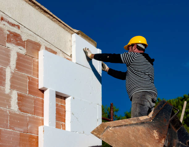 Best Insulation Removal  in Tilden, NE