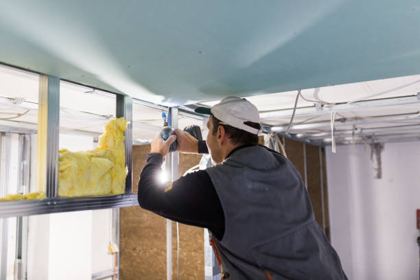 Insulation Replacement Services in Tilden, NE