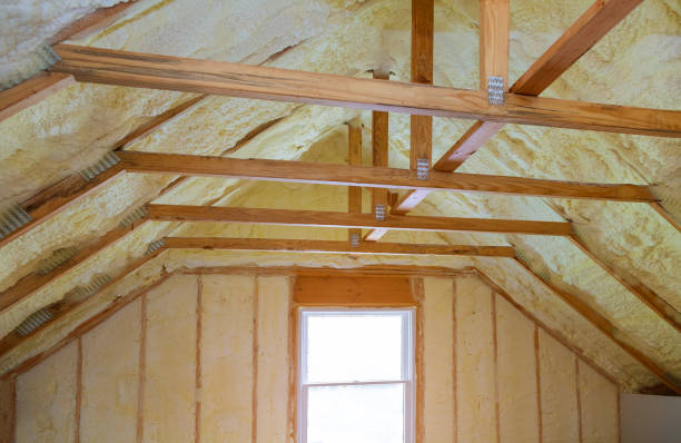 Best Cellulose Insulation  in Tilden, NE