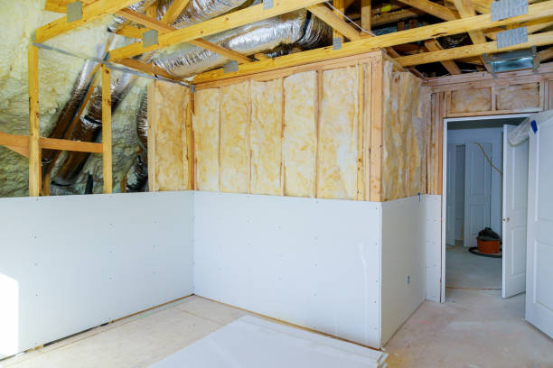 Best Insulation Contractors for Homes  in Tilden, NE