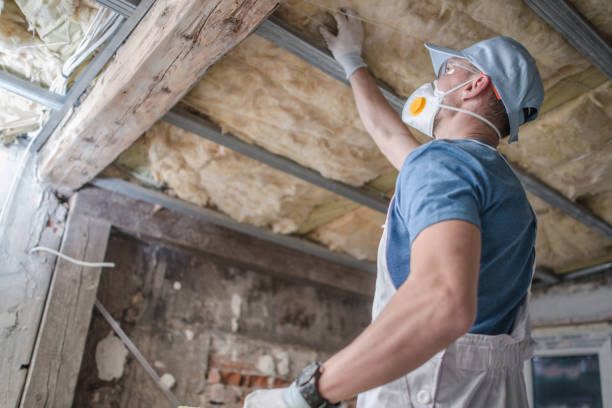Best Affordable Insulation Services  in Tilden, NE