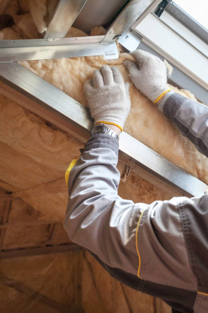 Best Spray Foam Insulation  in Tilden, NE