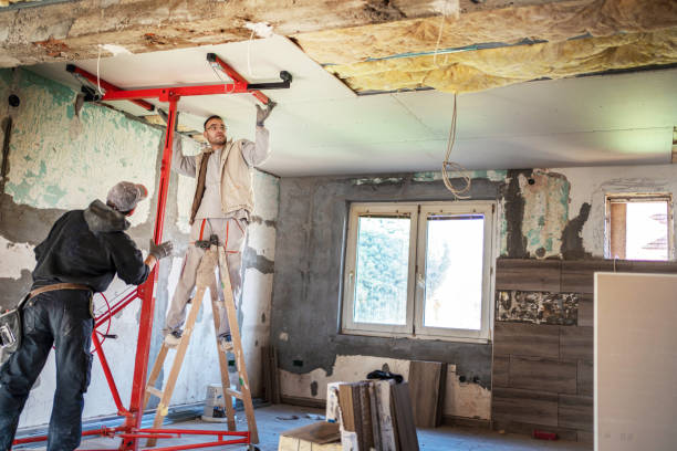 Best Insulation Removal Services  in Tilden, NE