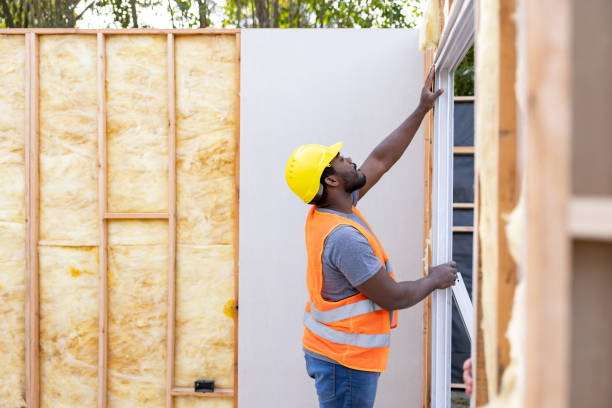 Best Insulation Replacement Services  in Tilden, NE