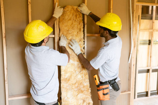 Best Local Insulation Services  in Tilden, NE