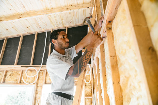 Best Professional Insulation Contractor  in Tilden, NE