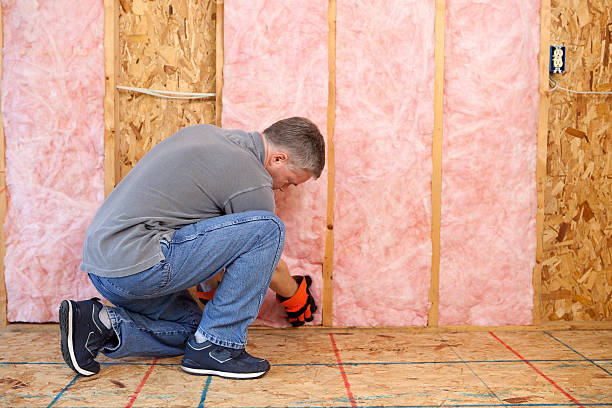 Best Insulation for New Construction  in Tilden, NE