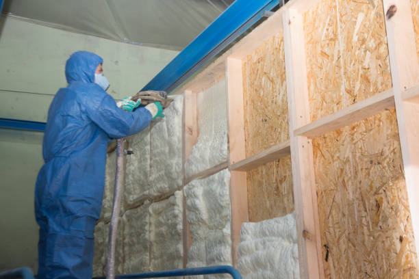 Best Insulation Installation Cost  in Tilden, NE