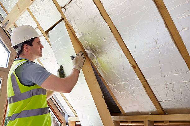 Best Energy-efficient Insulation  in Tilden, NE