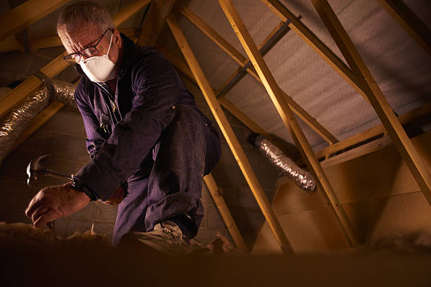 Best Garage Insulation Installation  in Tilden, NE